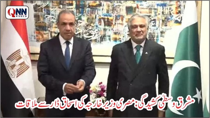مشرق وسطیٰ کشیدگی: مصری وزیر خارجہ کی اسحاق ڈار سے ملاقات