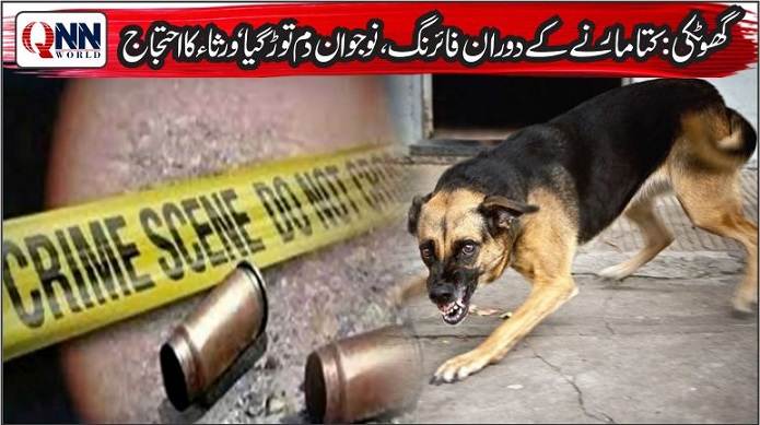 گھوٹکی : کتا مارنے کی کوشش نوجوان کی جان لے گئی، احتجاج