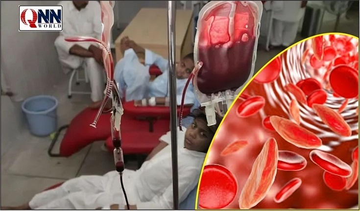 واربرٹن : تھیلیسیمیا کے بچوں کیلئے بلڈ کیمپ منعقد کیا گیا