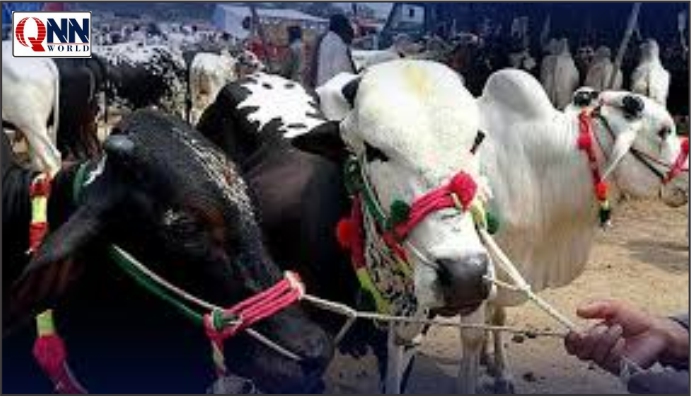 میدانِ عرفات میں لاکھوں حجاج نے خطبہ حج سنا؛ امام مسجدِ نبوی کا صبر، تقویٰ اور مسلم اتحاد پر زور