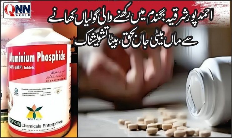 گھریلو جھگڑا: ماں بیٹی جاں بحق، بیٹا تشویشناک