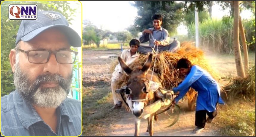 فور ایل کے چکوک پانی کی قلت کا شکار، کسانوں کیلئے خصوصی اقدامات کا مطالبہ