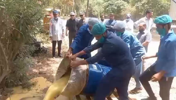 پنجاب فوڈ اتھارٹی کا رینالہ خورد میں کریک ڈاؤن، 600 کلو فنگس زدہ پلپ تلف، 8 لاکھ جرمانہ