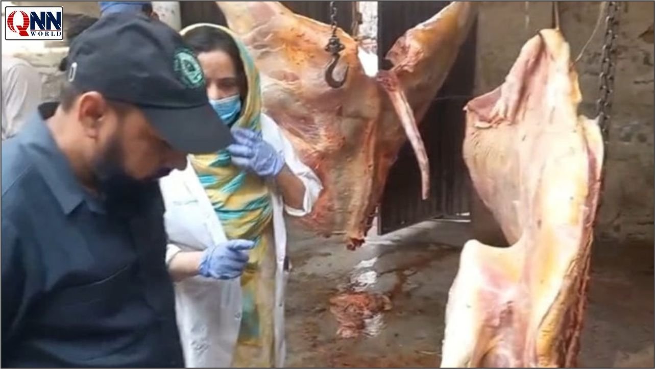 پنجاب فوڈ اتھارٹی کی بڑی کارروائی، خراب اور بدبودار گوشت کی بھاری کھیپ پکڑی گئی