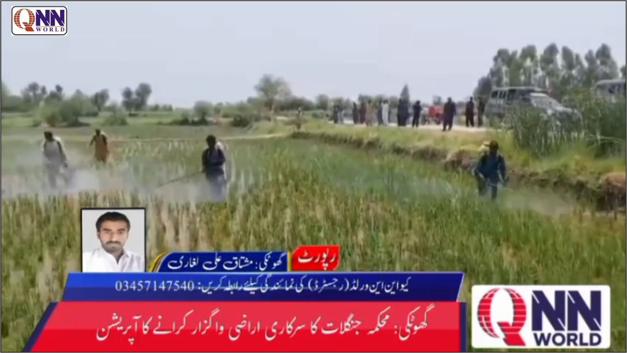 عدالتی احکامات پر عملدرآمد، گھوٹکی میں جنگلاتی اراضی واگزار