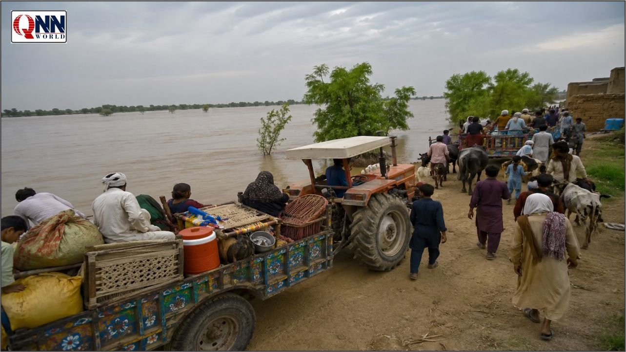 اوچ شریف: چناب میں فلڈ کا خطرہ، دریائی پٹی میں خوف کے سائے، بستیاں خالی، فصلوں کی کٹائی شروع