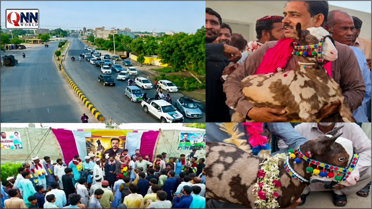 نایاب ٹیڈی بکری اپنی منفرد خصوصیات کے باعث 18 لاکھ روپے میں فروخت