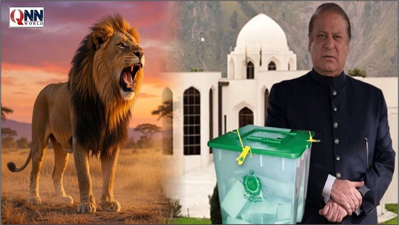 مظفرآباد ڈویژن اور مہاجرین نشستوں پر ن لیگ کا غلبہ، خراب موسم سے ایک حلقے میں پولنگ ملتوی