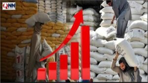 گھوٹکی: جروار میں آٹا 5750 روپے فی من فروخت ہونے لگا، نوٹس لینے کا مطالبہ