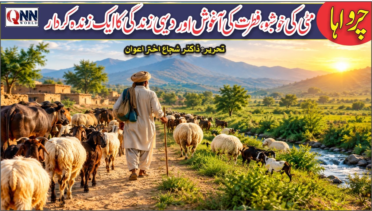 چرواہا۔۔۔ دیہی زندگی کا خاموش محسن