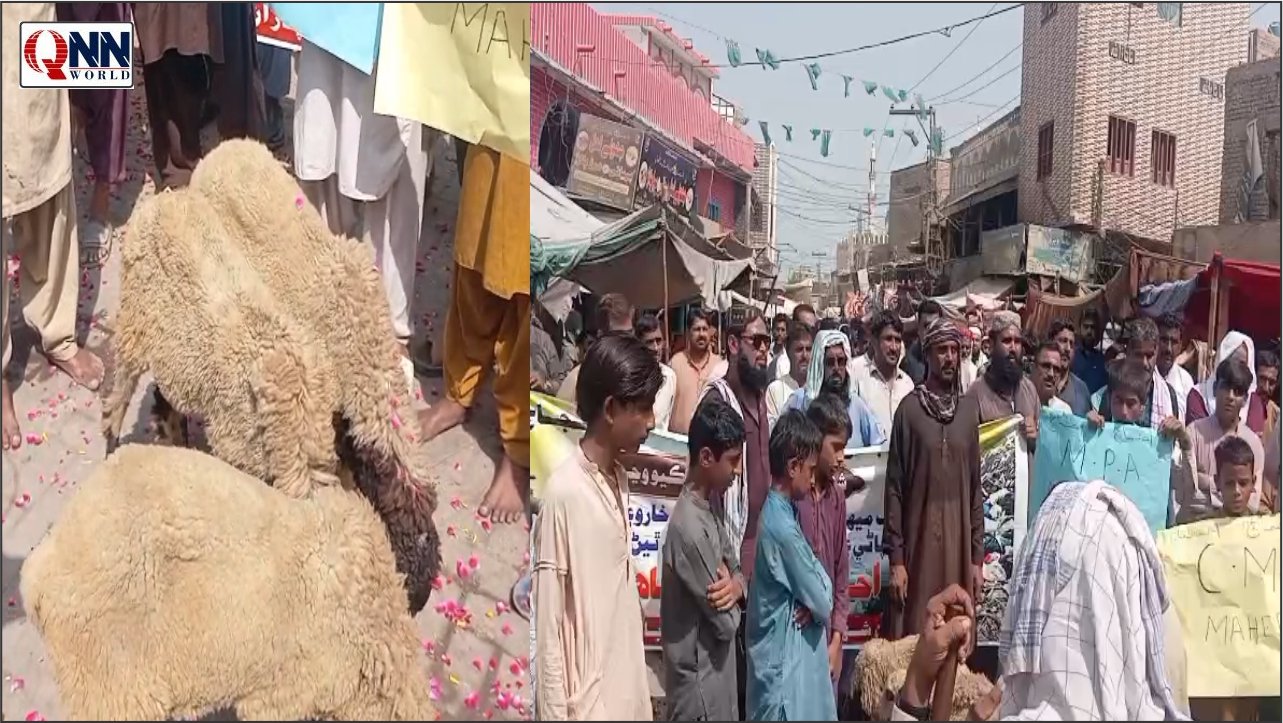 میہڑ میں میونسپل انتظامیہ کی خاموشی کے خلاف شہریوں کا علامتی مظاہرہ، بھیڑیں ساتھ لے آئے